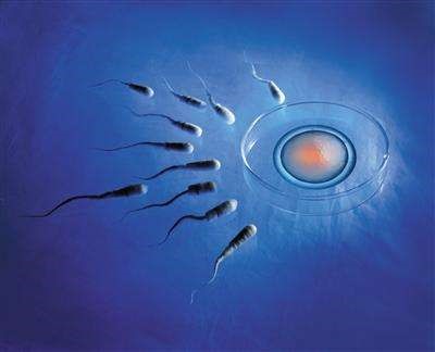 供卵代怀生男宝代生包成功